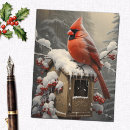 Suche nach rote vögel postkarten Schnee