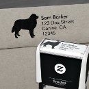Suche nach bernese Bernese gebirgshund
