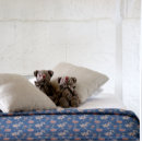 Suche nach blaue blumen decken Für sie/ihn