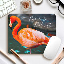 Suche nach flamingo mousepads Vogelvogel