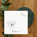 Suche nach labrador retriever Welpe