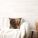 Suche nach portraits kissen Hund