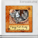 Suche nach verrückte katzen magnete Spaß