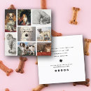 Suche nach haustier wellness center visitenkarten Katze