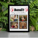 Suche nach hundedecke Für kinder