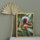 Suche nach lappen poster Blumenreich