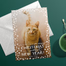 Suche nach katzenliebhaber karten Cats