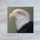 Suche nach eagle fliesen Amerikanisch