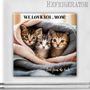 Suche nach kitten magnete Mutter