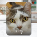 Suche nach lustiges katzen foto magnete Kühlschrank