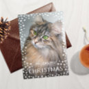 Suche nach katzenliebhaber karten Cats