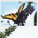 Suche nach beautiful leinwandbilder Floral