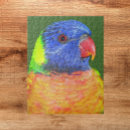 Suche nach parrot puzzle Tier