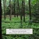 Suche nach atmen mousepads Natur