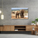 Suche nach südafrika leinwandbilder Wild lebende tiere