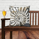 Suche nach fossil kissen Muschel