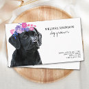 Suche nach hundegeschäft visitenkarten Hundshammen