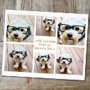 Suche nach horizontal flyer Foto