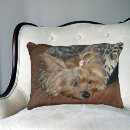 Suche nach yorkshire terrier dekokissen Welpe