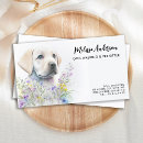 Suche nach die hundezucht visitenkarten Hundshammen