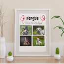 Suche nach haustierartikel Familienfoto