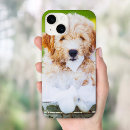 Suche nach pets hüllen Haustier