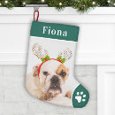 Suche nach englische weihnachts strümpfe Hund