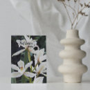 Suche nach orchideen karten Fotografisch