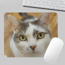 Suche nach katzen für ihn computerzubehör Haustier