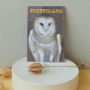 Suche nach raubtier karten Naturfotografie