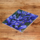 Suche nach miniatur fliesen Iris