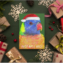 Suche nach australische vögel karten Papagei