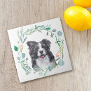 Suche nach border collie fliesen Tier