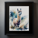 Suche nach niedliches lama poster Bunt
