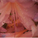 Suche nach nach dem regen leinwandbilder Meer