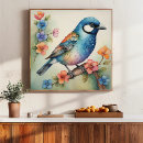 Suche nach bluebird poster Vogelliebhaber