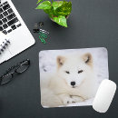 Suche nach niedlicher fuchs mousepads Tierwelt