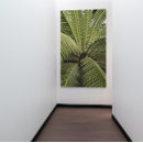 Suche nach botanic poster Blätter