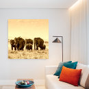 Suche nach dumbo poster Elefant