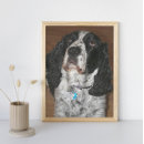 Suche nach english springer spaniel poster Haustiere