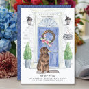 Suche nach newfoundlander Dog