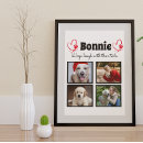 Suche nach labrador hunde poster Für haustiere