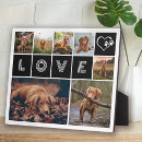 Suche nach hunde fotoplatten Foto collage