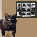 Suche nach die schwarze katze kalender Foto