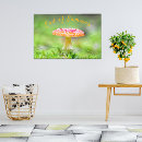 Suche nach rotkehlchen poster Für sie