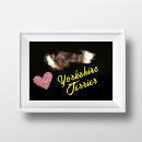 Suche nach yorkshire terrier poster Schwarz