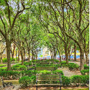 Suche nach charleston poster Geschichte