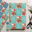 Suche nach viel glück geschenkpapier Festlich