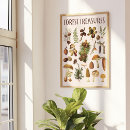 Suche nach vintager pilz poster Pflanze