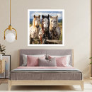 Suche nach appaloosa poster Natur